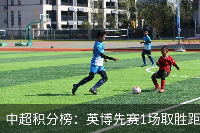 中超积分榜：英博先赛1场取胜距蓉城6分，铁人大胜领先降级区7分