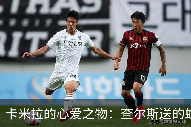 卡米拉的心爱之物：查尔斯送的蛇形项链，戴了20多年和她绝配