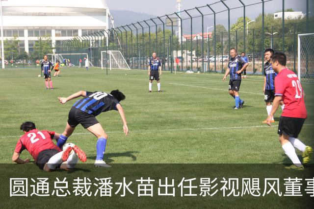 圆通总裁潘水苗出任影视飓风董事长，系Tim父亲；Tim仍为最大股东，持股比例51.77%！影视飓风在多平台拥有千万级粉丝，年营收早已过亿