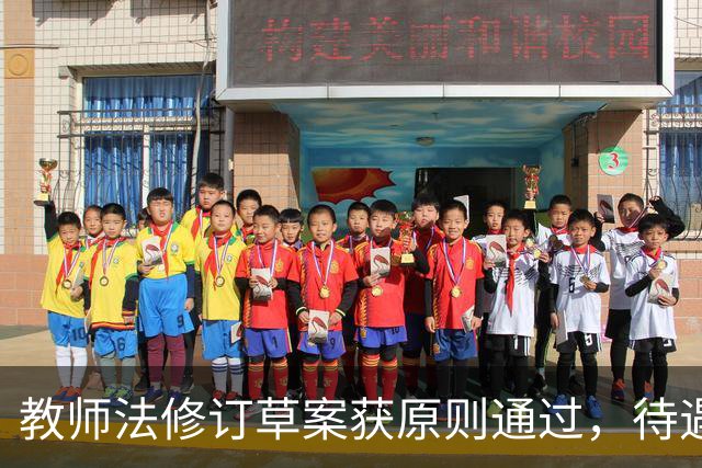 教师法修订草案获原则通过，待遇保障和减负都有新规定