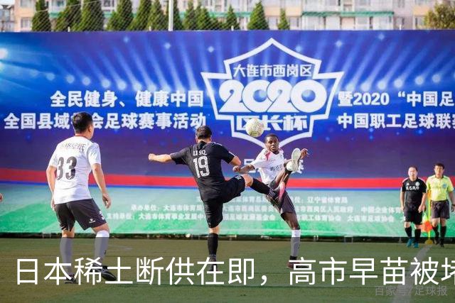 日本稀土断供在即，高市早苗被堵国会喊下台：毛宁一句话表态