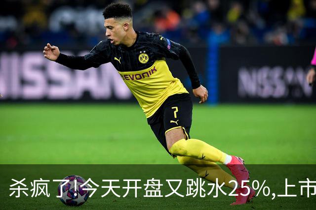 杀疯了!今天开盘又跳水25%,上市两天回撤45%,首日进场的全被套！