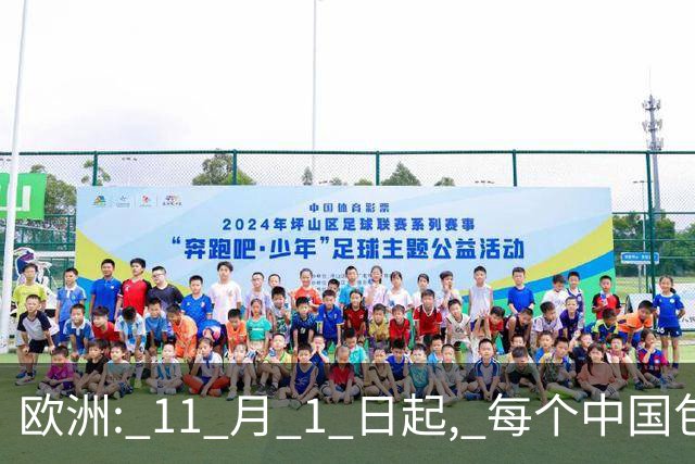 欧洲: 11 月 1 日起, 每个中国包裹收 2 欧元! 中国: 那我把小包