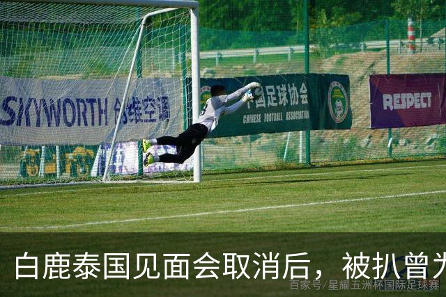 白鹿泰国见面会取消后，被扒曾为缅北拍宣传片，知情人爆更多内幕