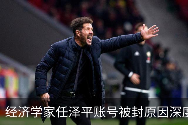 经济学家任泽平账号被封原因深度分析
