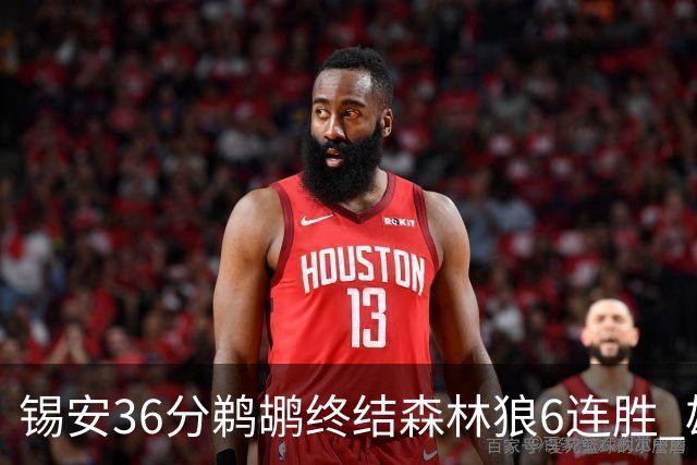 锡安36分鹈鹕终结森林狼6连胜 雄鹿险胜公牛