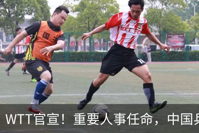 WTT官宣！重要人事任命，中国乒乓美女被提拔，上任总监岗位
